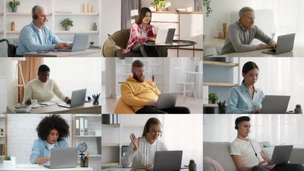 Olika människor som använder bärbara datorer som arbetar online hemma, Collage — Stockvideo