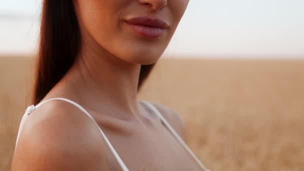 Cropped Portrait Of Young Lady Posing Outdoors While Standing In Wheat Field Royalty Free Stock Footage