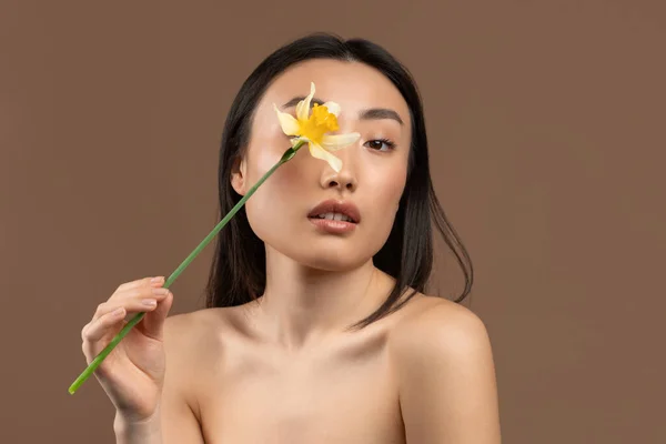 Tender korean lady holding daffodil flower and closing eye, posing over brown background, having silky skin — стоковое фото