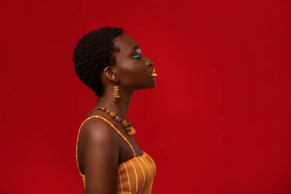 Profile portrait of stylish african american woman on red, panorama — Stok fotoğraf