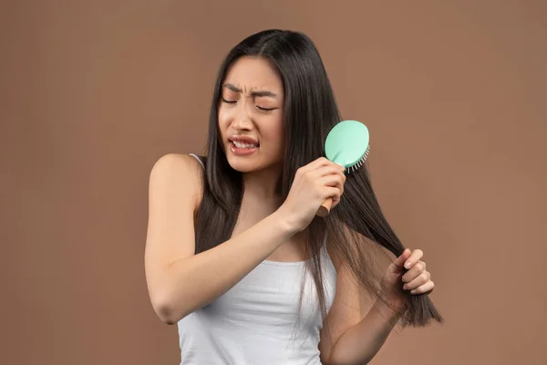 Cosmetics for problems, dry and brittle hair. Young korean lady cannot comb her long hair, brown studio background — Fotografia de Stock