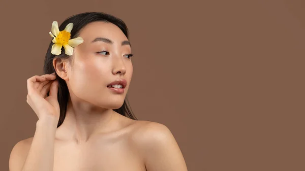 Cosmetics concept. Asian lady with daffodil flower in hair looking aside at free space over brown background, panorama — Stockfoto