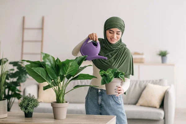 Evdeki çiçekleri sulayan tesettürlü genç Arap kadın, boşluğu kopyala