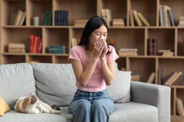 Pet allergy concept. Young korean lady sneezing and holding paper tissue, suffering from runny nose caused by her cat