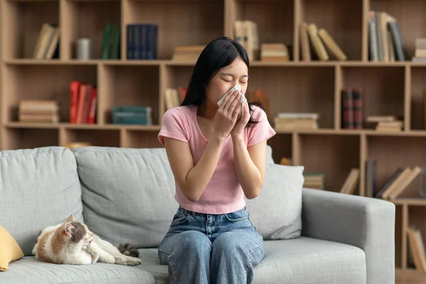 Haustierallergiekonzept. Junge Koreanerin niest und hält Papiertaschentücher in der Hand und leidet unter laufender Nase, die von ihrer Katze verursacht wird — Stockfoto