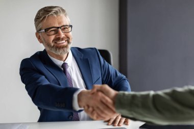 Partnership. Smiling middle aged businessman in suit handshaking with partner in office
