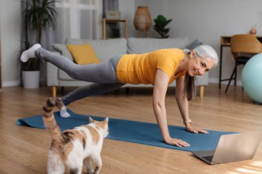 Çevrimiçi yerel spor. Aktif kıdemli kadın dizüstü bilgisayarda egzersiz yapıyor, evde tahta yapıyor, vücut çalışıyor ve vücudunu formda tutuyor.