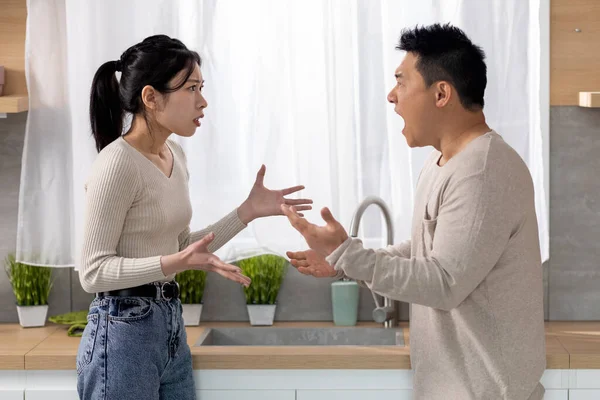 Relationship problems concept. Angry asian woman arguing with her husband at kitchen, mad spouses shouting at each other and gesturing, having difficulties in marriage, side view, copy space