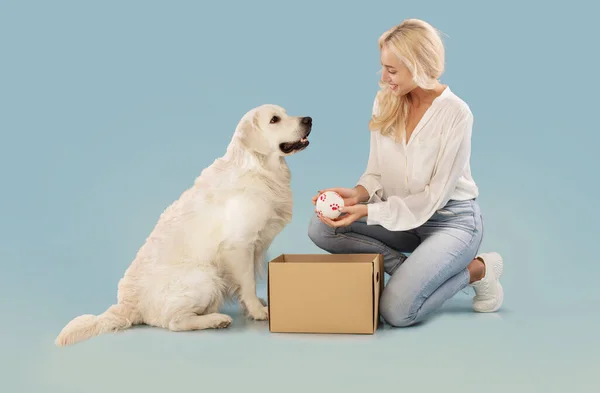 Älskade Kvinna Leker Med Sin Labrador Hund Håller Bollen Sitter — Stockfoto