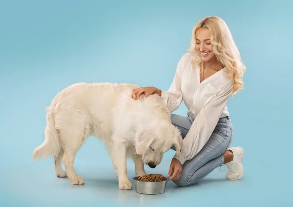 Amante Senhora Acariciando Alimentando Seu Cão Bonito Golden Retriever Posando — Fotografia de Stock