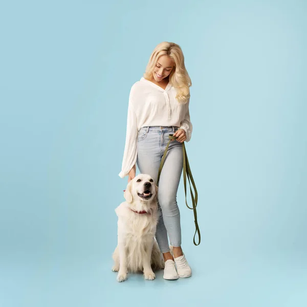 Friendship concept. Happy woman posing with her happy labrador dog on a leash, looking at her pet standing isolated on blue studio background wall, full body length