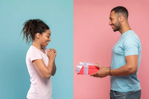 African american guy giving present to his excited wife, celebrating anniversary, birthday or Valentines day. Happy black couple giving gifts to each other, blue and pink studio background