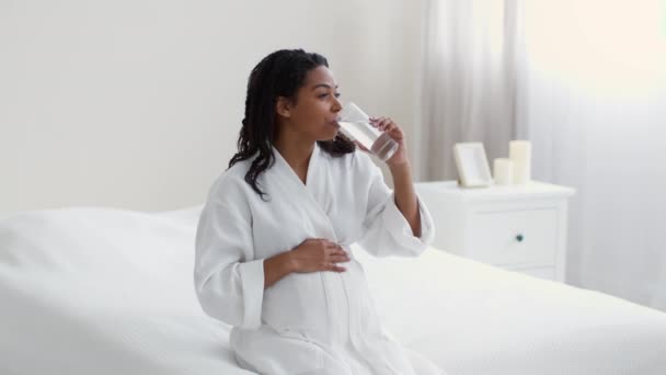 Water Balance Pregnancy Young Happy Expectant African American Woman Drinking — Stok video