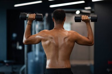 Back View Of Athletic Black Man With Naked Torso Exercising With Dumbbells In Gym, Unrecognizable African American Male Athlete Training With Light Weights At Modern Sport Club, Copy Space