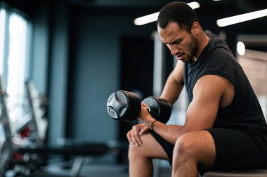 Young Black Male Athlete Training With Dumbbell, Making Seated Biceps Curl While Exercising At Gym, African American Sporty Man Working Out Arm Muscles, Enjoying Bodybuilding, Copy Space