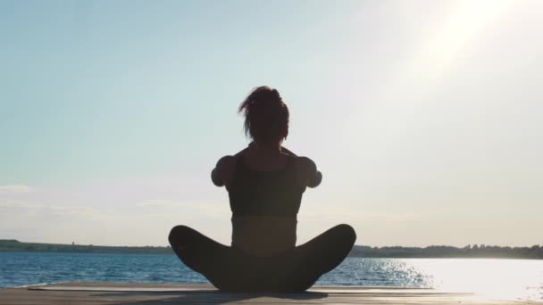 Unity Nature Back View Shot Peaceful Black Woman Meditating Outdoors — Vídeo de stock