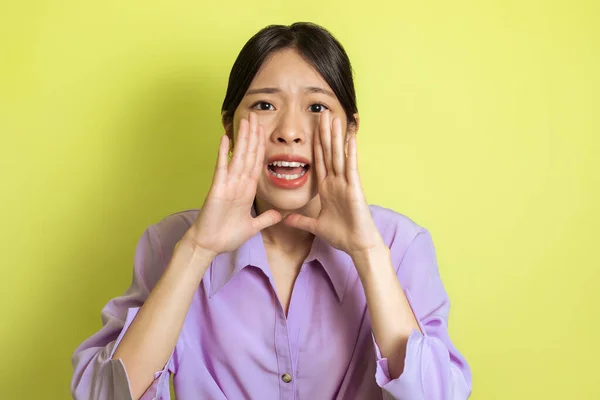 Korean Lady Shouting Holding Both Hands Mouth Looking Camera Standing — Stok fotoğraf