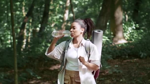 Active Weekend Young Happy African American Lady Walking Forest Summer — Stock video