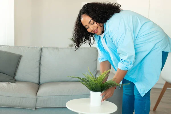 Happy Black Female Putting Pot Green Plant Table Cleaning Decorating — Foto Stock