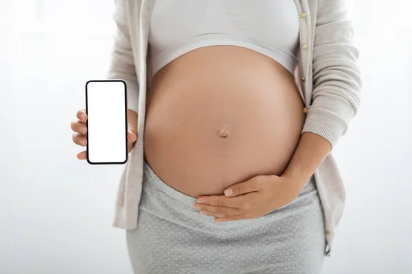 Modern Technologies Pregnancy Concept Cropped Expecting Woman Showing Smartphone White — Stok Foto