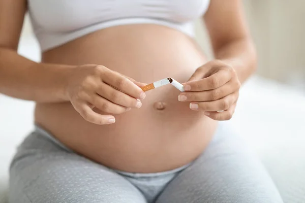 Healthy life choice during pregnancy, stop smoking concept. Unrecognizable pregnant woman sitting on bed at home, breaking cigarette on halves, cropped photo, free space