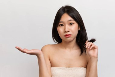 Hair care concept. Upset young korean lady checking her hair, having problem of thinning hair, hair loss, posing on white studio background, copy space