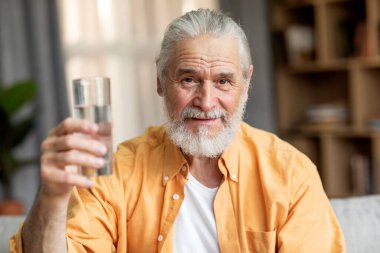 Happy handsome grey-haired bearded senior man grandfather holding glass of water, sitting on couch, drinking fresh water, home interior, copy space. Hydration, healthy lifestyle concept