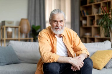 Retirement concept. Portrait of good-looking bearded long-haired elderly man posing alone at home, cheerful grandfather sitting on sofa in living room, looking at camera, copy space