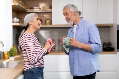 Happy Senior Spouses Sharing Domestic Chores, Wiping Dishes Together In Kitchen, Smiling Elderly Husband And Wife Enjoying Making Cleaning At Home, Looking And Smiling To Each Other, Free Space