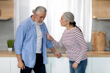 Relationship Crisis. Portrait Of Senior Spouses Arguing In Kitchen Interior, Elderly Couple Suffering Marriage Problems, Angry Wife Blaming Husband While They Quarreling At Home, Copy Space