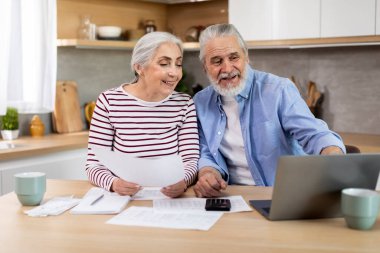 Happy Senior Spouses Making Family Budget Planning In Kitchen, Cheerful Elderly Couple Using Laptop And Checking Financial Papers Together, Doing Utility Payments In Internet, Closeup Shot