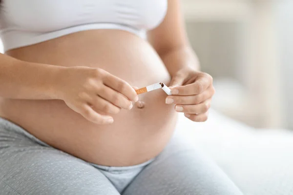 Healthy life choice during pregnancy, stop smoking concept. Unrecognizable pregnant woman sitting on bed at home, breaking cigarette on halves, cropped photo, copy space, closeup