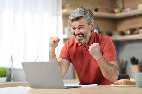 Emocional Hombre Negocios Pelo Gris Mediana Edad Que Trabaja Desde —  Fotos de Stock