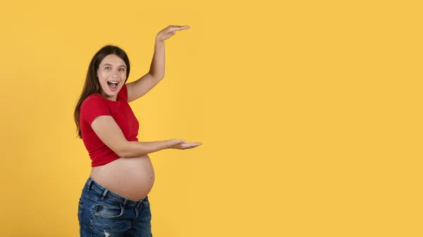 Elli Görünmez Nesne Tutan Neşeli Hamile Kadın Kollarıyla Bir Şey — Stok fotoğraf