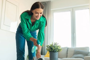 Deterjan şişeli Neşeli Bayan Temizlik Masası, Evdeki Modern Oturma Odasında Ev İşleri Yapıyor. Ev işleri konsepti. Seçici Odaklanma