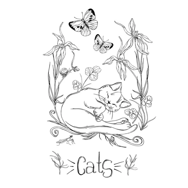 Gato gráfico con flores silvestres con insectos — Vector de stock