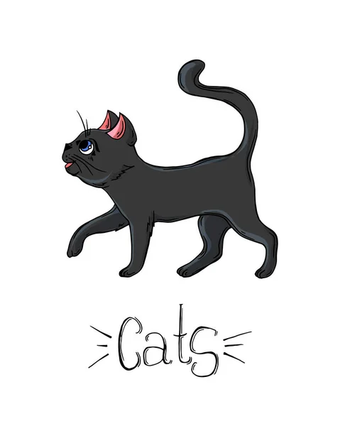 Набор черных кошек в разных позах. — стоковый вектор