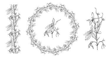 Vektör grafik çiçek kompozisyonları. tarla çiçekleri.