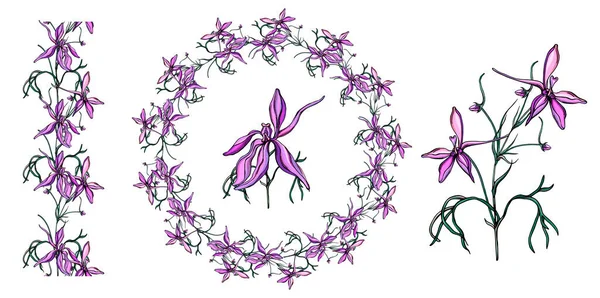 Vector set with delicate purple wildflowers. — Vetor de Stock
