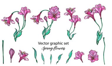 Romantik pembe çiçekli vektör çiçek aranjmanları.