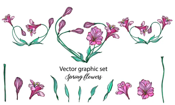 Vector bloemstukken met romantische roze bloemen. — Stockvector