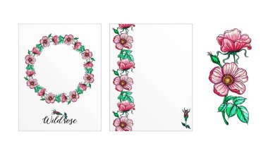 Gül çiçekli bir kartpostal seti. Pembe çiçekler. Gül.