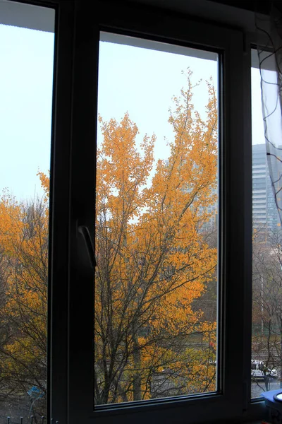 Widok Jasną Uroczą Jesień Okna Apartamentu Mieście — Zdjęcie stockowe
