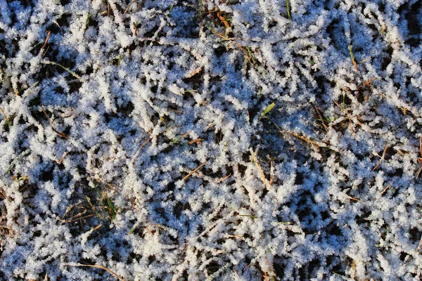 Snömönster Gräset Efter Första Frosten — Stockfoto