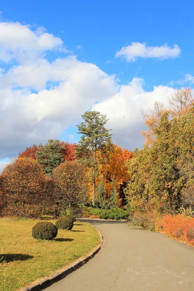 Bocetos Exóticos Naturaleza Otoñal Jardín Botánico Kiev — Foto de Stock