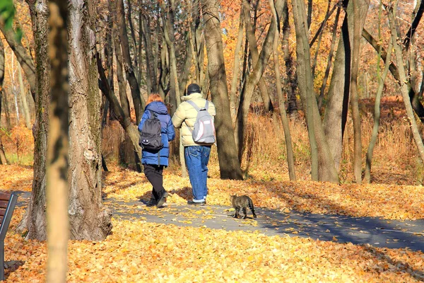 Family Walk Autumn Botanical Garden — Stock Photo, Image