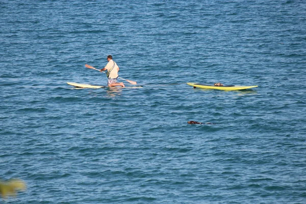 Estranha Competição Entre Surfista Cão Nas Águas Mar Negro — Fotografia de Stock