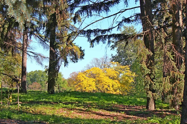Picturesque Corner Botanical Garden Early Autumn — Stock Photo, Image