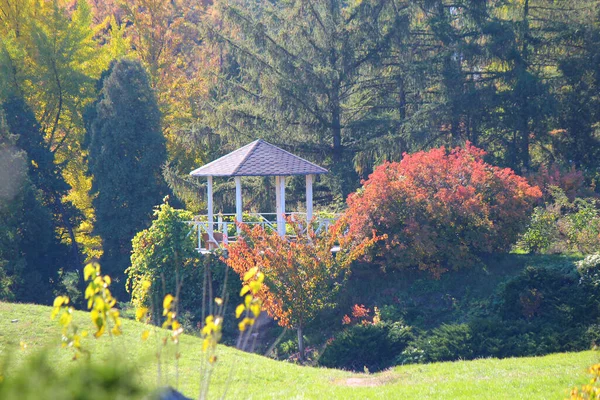 Sonbaharın Başlarında Botanik Bahçesinin Pitoresk Köşesi — Stok fotoğraf