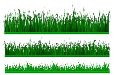 Büyük yeşil çim sınırı ya da yeşil taze çimen izole edilmiş. vektör içer